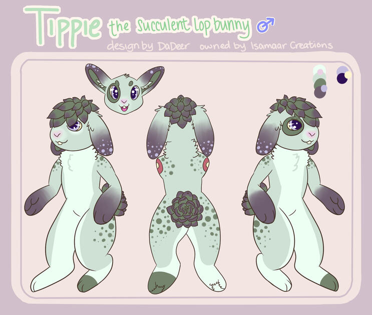 Tippie Reference